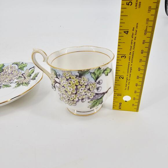 Vintage Royal Albert  Flower of the Month #5 May Hawthorn Teacup & Saucer - Picture 10 of 12
